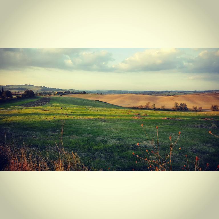 מונטלצ'ינו Wine Resort Colsereno מראה חיצוני תמונה