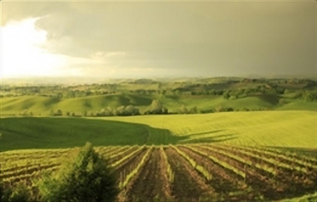 מונטלצ'ינו Wine Resort Colsereno מראה חיצוני תמונה